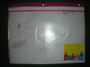 DSCN8997 300x225 - DSCN8997