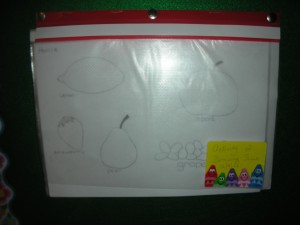 DSCN8998 300x225 - DSCN8998