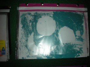 DSCN9000 300x225 - DSCN9000