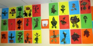 IMG 0209 300x148 - IMG_0209