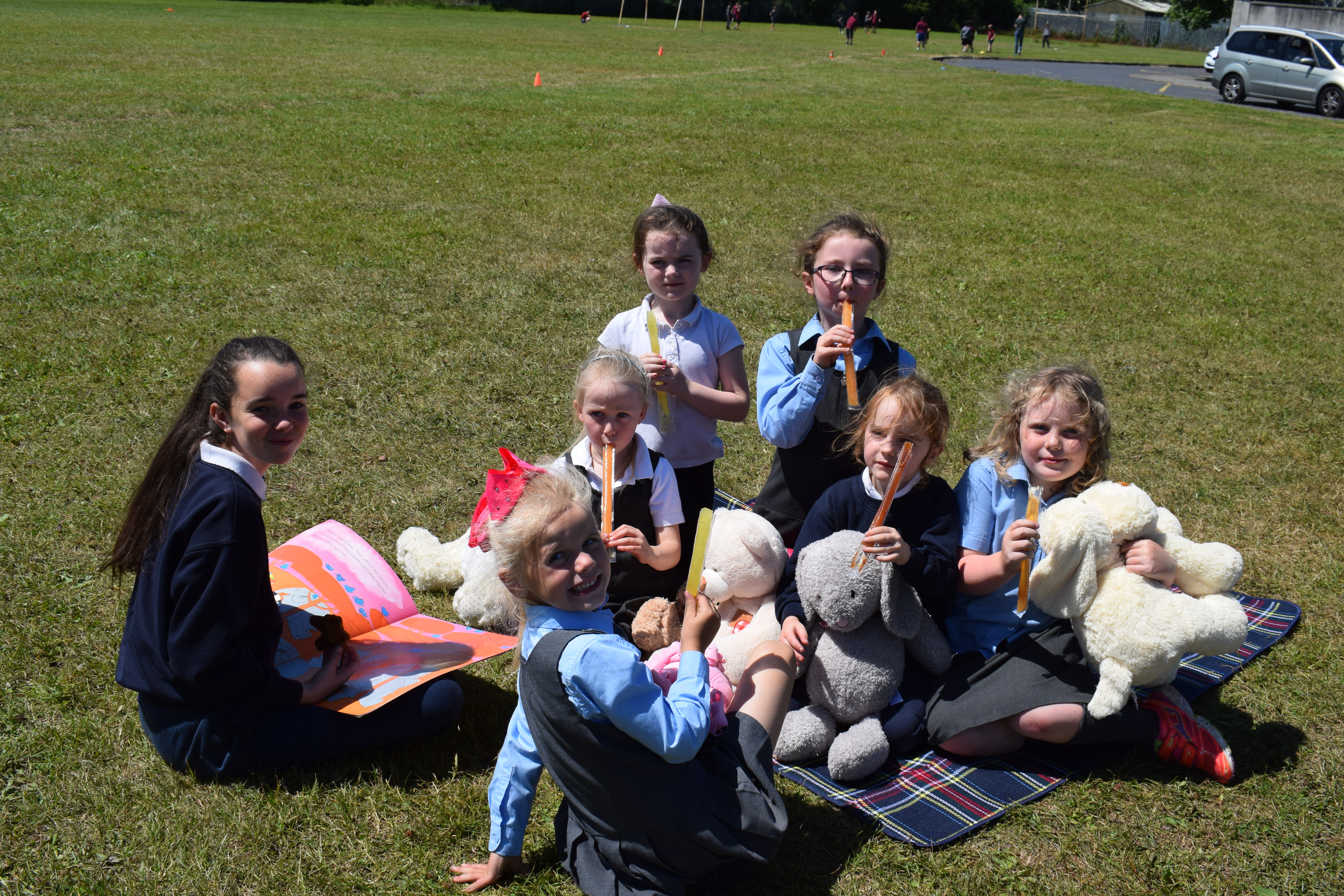 Teddy Bears Picnic DSC 0049 - Teddy Bears Picnic