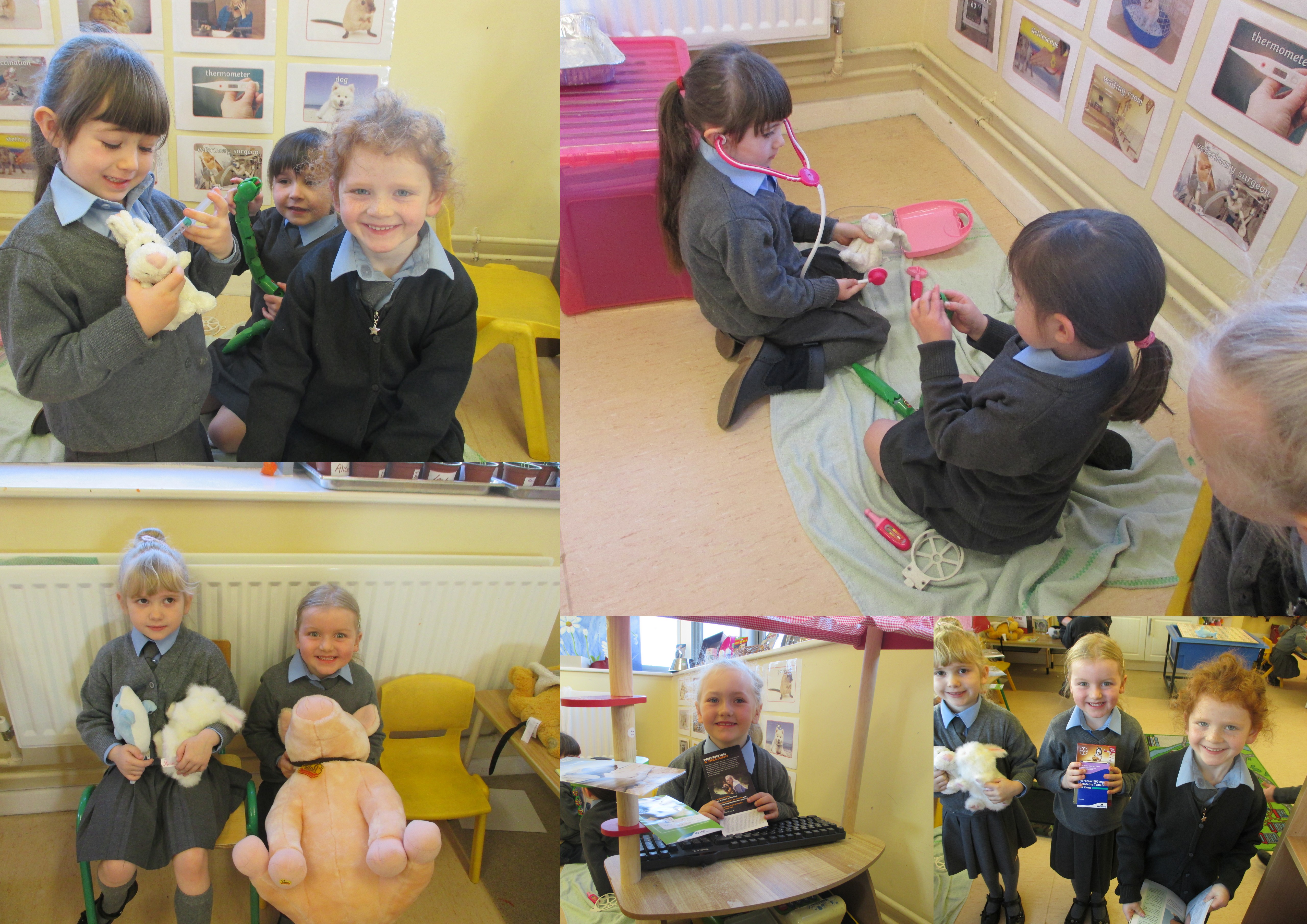 Aistear JI - Aistear in Junior Infants - The Vet