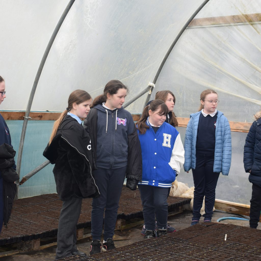 DSC 0011 1024x1024 - Fifth Class visit to The Red Shed