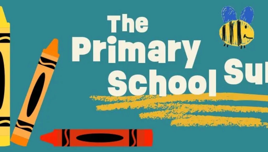 Screenshot 2025 11 11 132832 1024x583 - The Primary School Survey